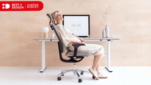 Dauphin Indeed mit Ball-Balance® Technik